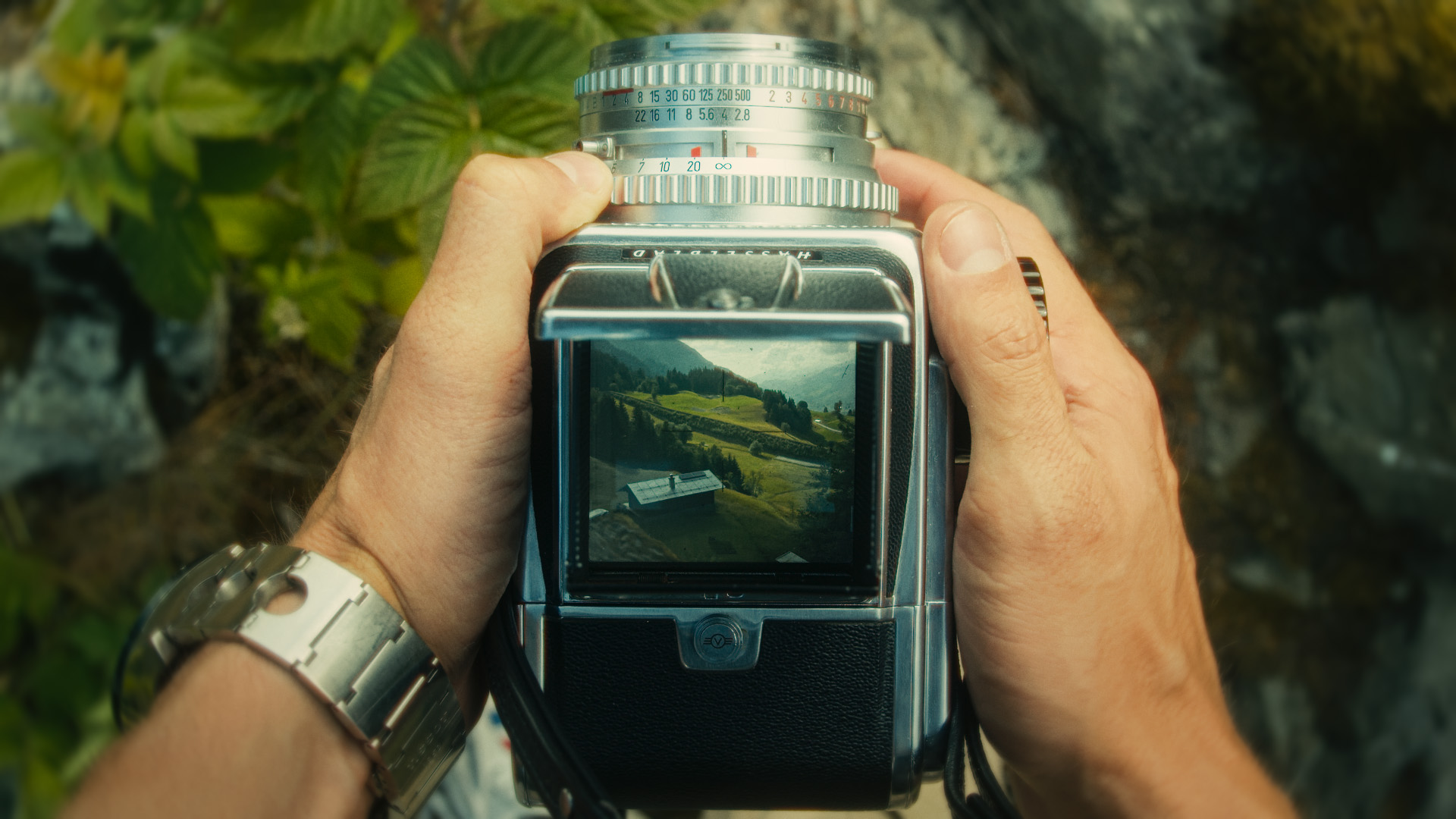 Still 2025 08 14 164946 1.16.1